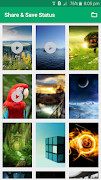 Split Share Save Status screenshot 1