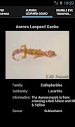 Leopard Geckos screenshot 2