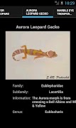 Leopard Geckos capture d'écran 2