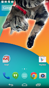 Cat inside phone prank captura de pantalla 5