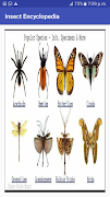 Insect Encyclopedia ภาพหน้าจอ 1