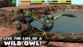 Owl Simulator screenshot 6
