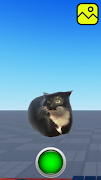 Maxwell Cat Dance screenshot 5