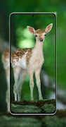 10000 Animals Wallpapers Screenshot 1