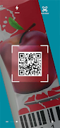 QR Code Reader 스크린샷 4