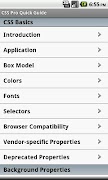 CSS Pro Quick Guide Affiche