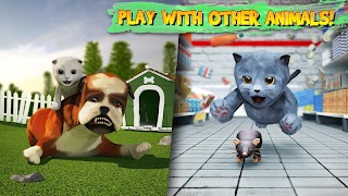Cat Simulator اسکرین شاٹ 6