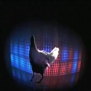 chiken song পোস্টার