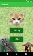 Animals Names Cartaz