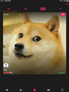 InterVii 스크린샷 1