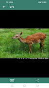 GcamPro Screenshot 5