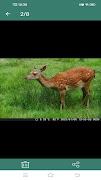 GcamPro 截图 5