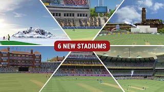 MSD: World Cricket Bash screenshot 2