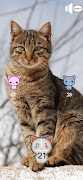 Cat's Nerd screenshot 4