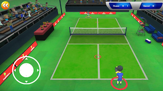 پوستر Pickleball Game