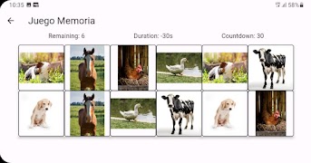 Metacognitiva screenshot 4