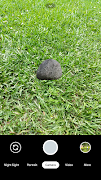Pet Rock स्क्रीनशॉट 4