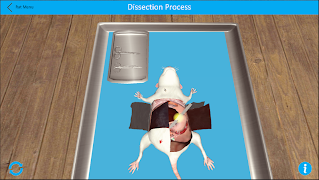 Dissection Lab 截圖 3