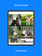 Pet Links Screenshot 4