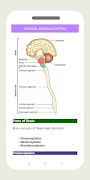 Nervous System Physiology स्क्रीनशॉट 4
