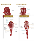 CutRite screenshot 1