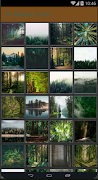 HD Material Forest Affiche