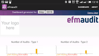 EfmAudit ảnh chụp màn hình 4