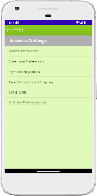Invoice Template 截图 4