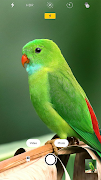 Camera for Android скриншот 1