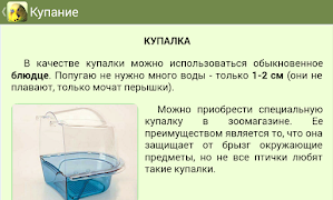 Попугаи screenshot 4