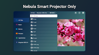 Nebula File Manager imagem de tela 3