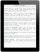 Basic Accounting captura de pantalla 7