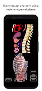 برنامه‌نما Deepscope Radiological Anatomy عکس از صفحه