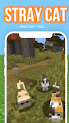 Stray Cat Minecraft mod plakat