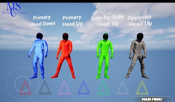 VFS Divepool Skydiving screenshot 5