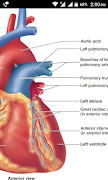 برنامه‌نما Nursing Study Notes عکس از صفحه