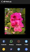Gif Yapma Programı - Gifyap screenshot 4