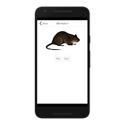 Voles bunyi syot layar 2