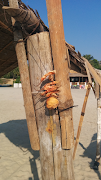 Darkness Immunity स्क्रीनशॉट 3