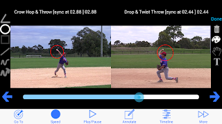 Baseball Coach Plus screenshot 2