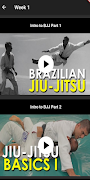 برنامه‌نما BJJ Basics عکس از صفحه