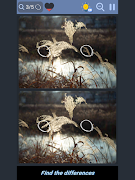 Differences - Find them syot layar 5