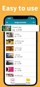 Image converter screenshot 2