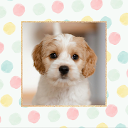 Cute Photo Frame ảnh chụp màn hình 4