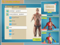 Easy Anatomy 3D - learn anatom скриншот 6