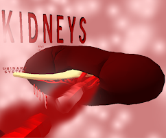 The Kidney VR screenshot 1