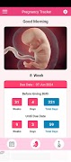 Pregnancy Due Date Tracker Affiche