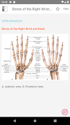 Pocket Anatomy and Physiology скриншот 4