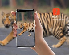 Suara Harimau poster