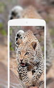Leopard Wallpaper syot layar 2